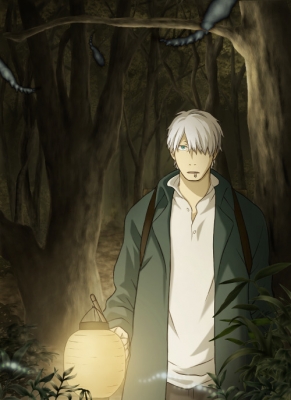 Мастер Муси (спэшл) / Mushishi Tokubetsu Hen: Hihamu Kage